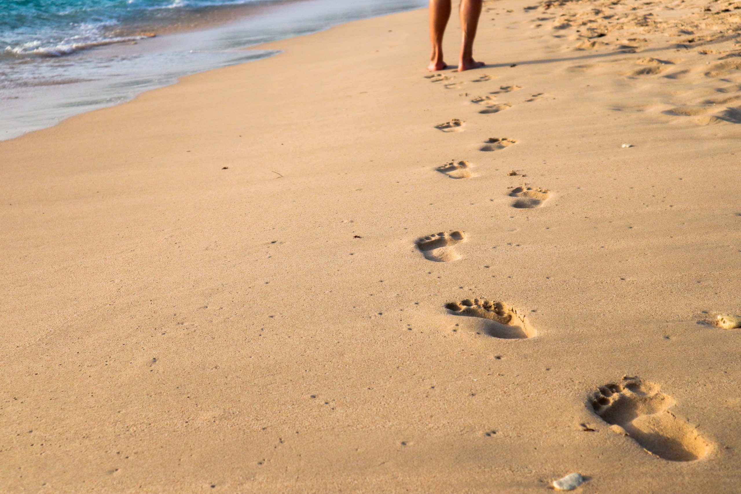 La (re)connexion à la Terre (ou « earthing »)